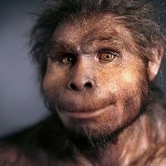 , 45 , 