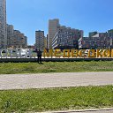 ���� Viktor, ������ - ��������� 22 ������� 2025 � ������ ������ ��������