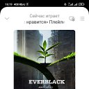 ���� ����, ������, 41 ��� - ��������� 4 ������ 2024 � ������ ������ ��������
