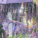���� Nataliia, ��������, 55 ��� - ��������� 30 ������� 2026 � ������ ���� ����������