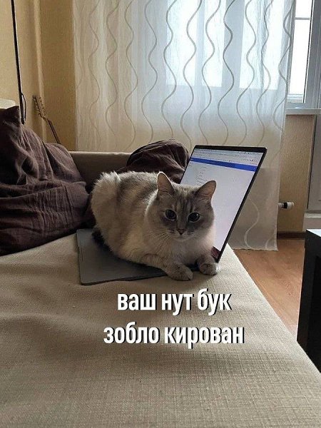  - 9  2023  08:55