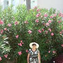 ���� �������, ��� - ��������� 23 ������� 2025 � ������ ���� ����������