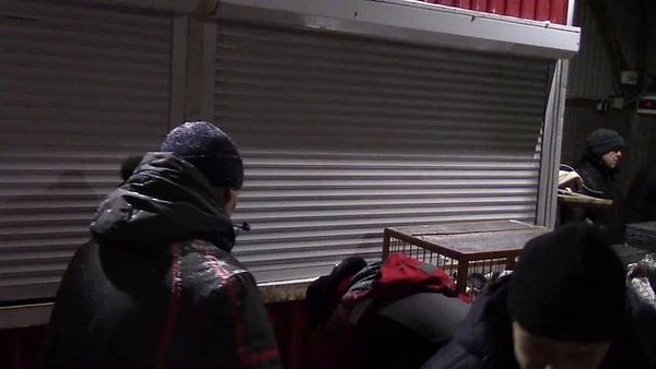 �����������