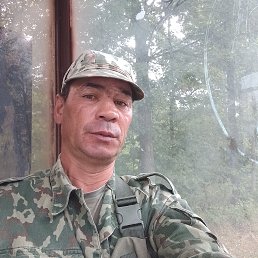 , 46, 