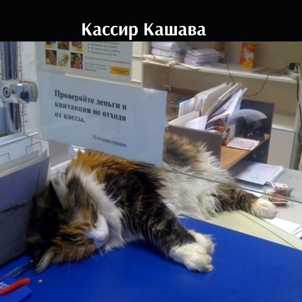 ��� ���� � ����� �� �� - 22 ����� 2026 � 18:00 - 4