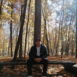 ���������, ������, 53 ����