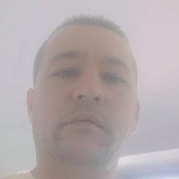 Bek, �����, 39 ���