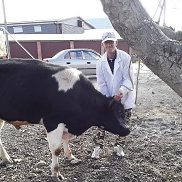 �����, 60 ���, ��������