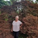 ���� �����, ������� - ��������� 4 ������ 2025 � ������ ���� ����������