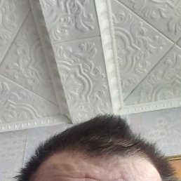 ���, ������, 56 ���