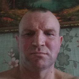 , , 46 