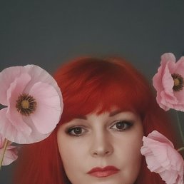 ����, ���������, 49 ���