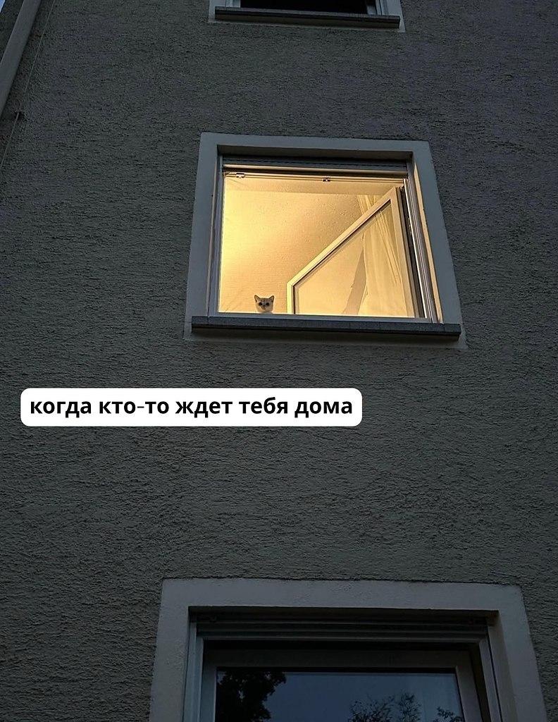 ��� ���� � ����� �� �� - 11 ������� 2025 � 18:33