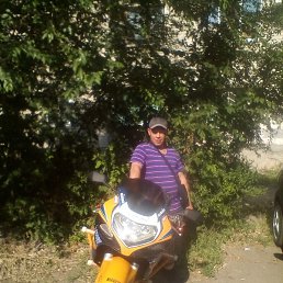 ��������, ���������, 41 ���