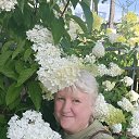  Ina, , 61  -  4  2025    