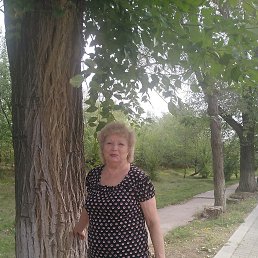 , 68, 