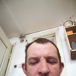 , 29, 