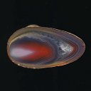 ���� ����, ������, 74 ���� - ��������� 27 ������ 2025 � ������ ���� ����������