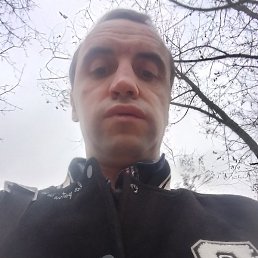 ����������, �������, 46 ���