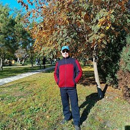 �������, �����, 64 ����