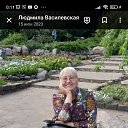 ���� ����, �����, 56 ��� - ��������� 23 ������ 2024