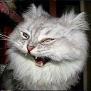 ���� ����, �������, 101 ��� - ��������� 13 ������ 2025 � ������ ���� ����������