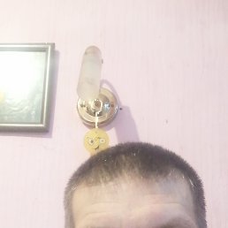 , 46, 