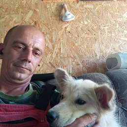 ������, ��������, 43 ����