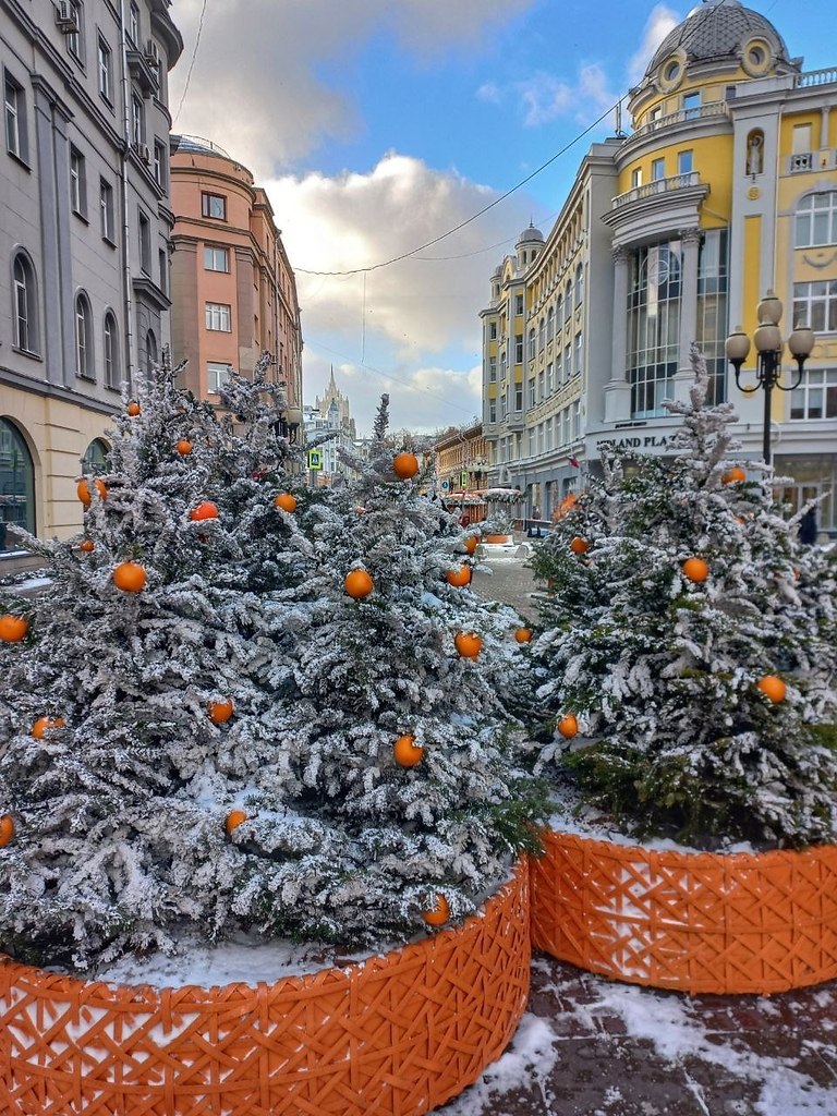 ���������� �����.����: ��������� ������ - 4