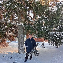 ������, ������, 50 ���