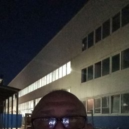 , 58 , 