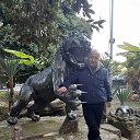 ���� ������, ������������, 42 ���� - ��������� 6 ������ 2024 � ������ ���� ����������