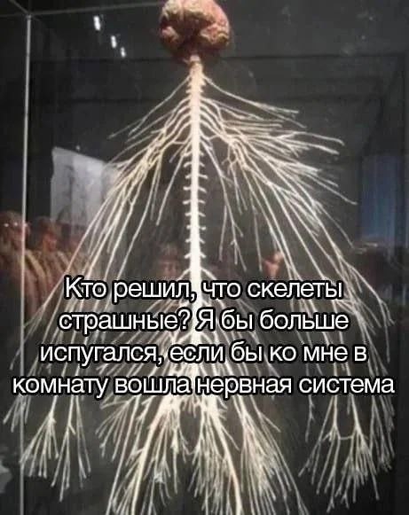  - 23  2025  15:18
