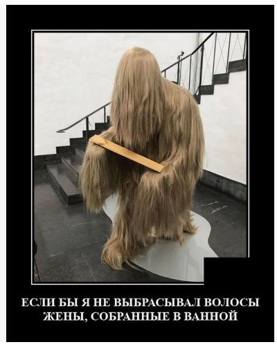 ����� - 24 ���� 2026 � 17:27 - 3