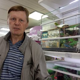 ������, , ���