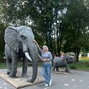  Lizi, -- -  18  2025    