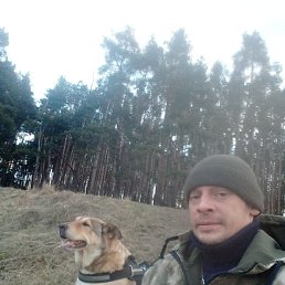 , 35, 