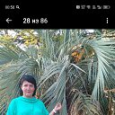���� ������, ������, 48 ��� - ��������� 27 ������ 2026 � ������ ���� ����������