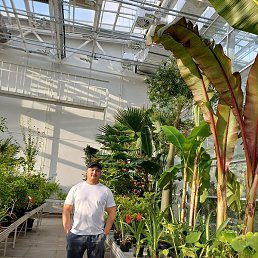 ������, �����, 40 ���