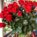 ���� ������, ���������� - ��������� 23 ������� 2025 � ������ ������ ��������