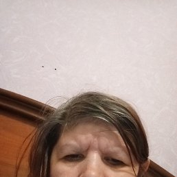 �������, 43 ����, ������