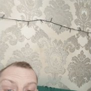 ����, 29 ���, ������