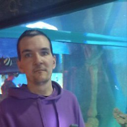 , 38, 
