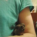 ���� �, ����� - ��������� 17 ������ 2023 � ������ ���� ����������