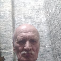 , 65 , 