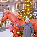 ���� ����, �����������, 67 ��� - ��������� 20 ������� 2026 � ������ ���� ����������