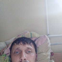 , 33, 