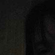 �����, 41 ���, �����-���������