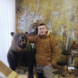 , 37, 