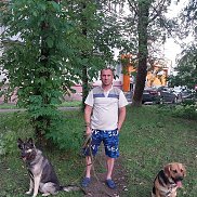 , 41 , 